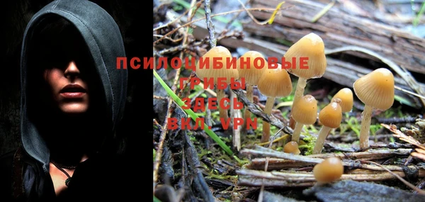 шишки Вяземский