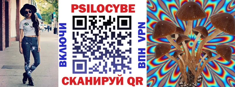 Галлюциногенные грибы Psilocybe  Рыбинск 